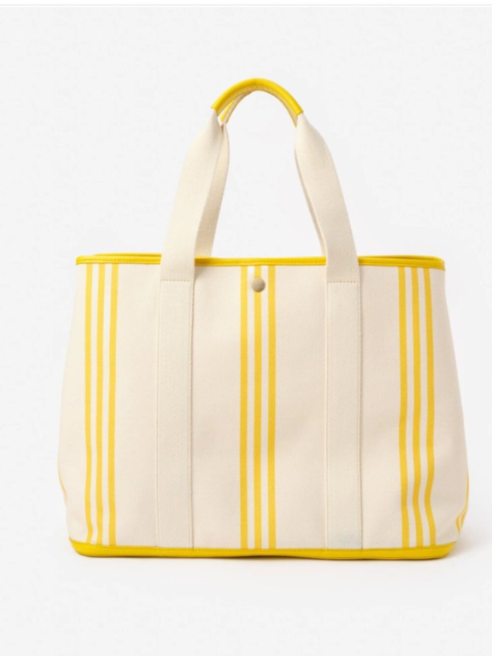 The Alma Canvas Tote in Stripe